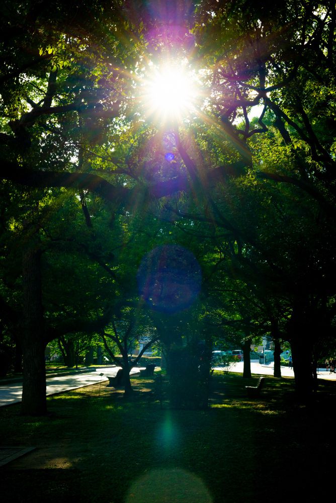 The sunlight filtering through the trees in Peace Park casts a beautiful and mystical flare.

#Leica #広島 #photo #写真 #写真好きな人と繋がりたい #photography #写真撮ってる人と繋がりたい #写真で奏でる私の世界 #ファインダー越しの私の世界 #キリトリセカイ #HIROSHIMA
