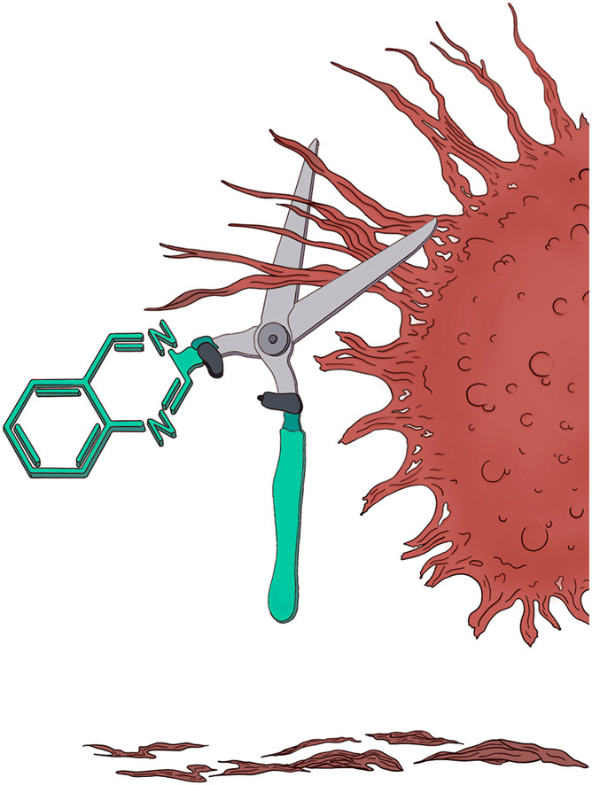 Stéphane BACH tweet media