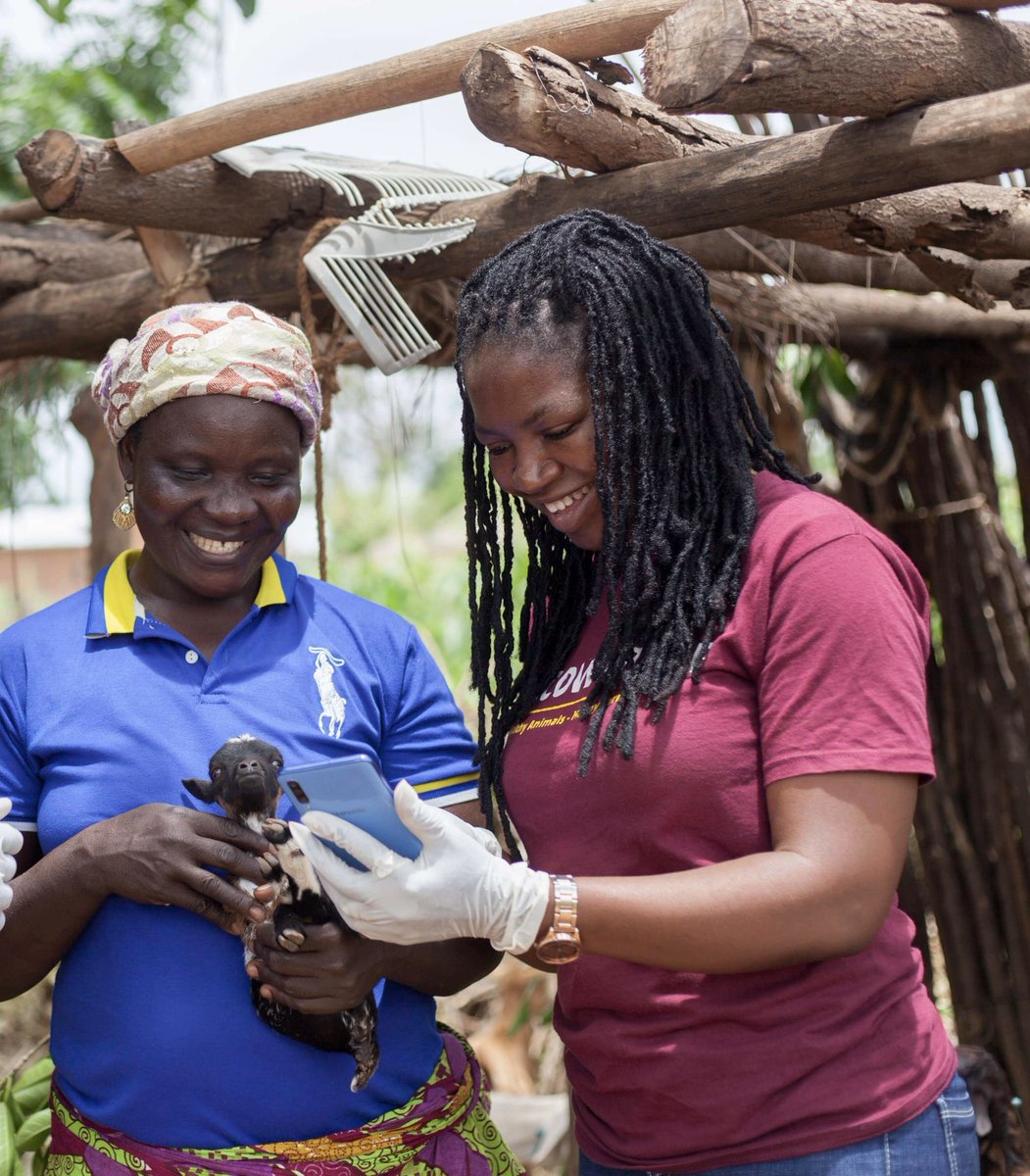 Cowtribe tweet media