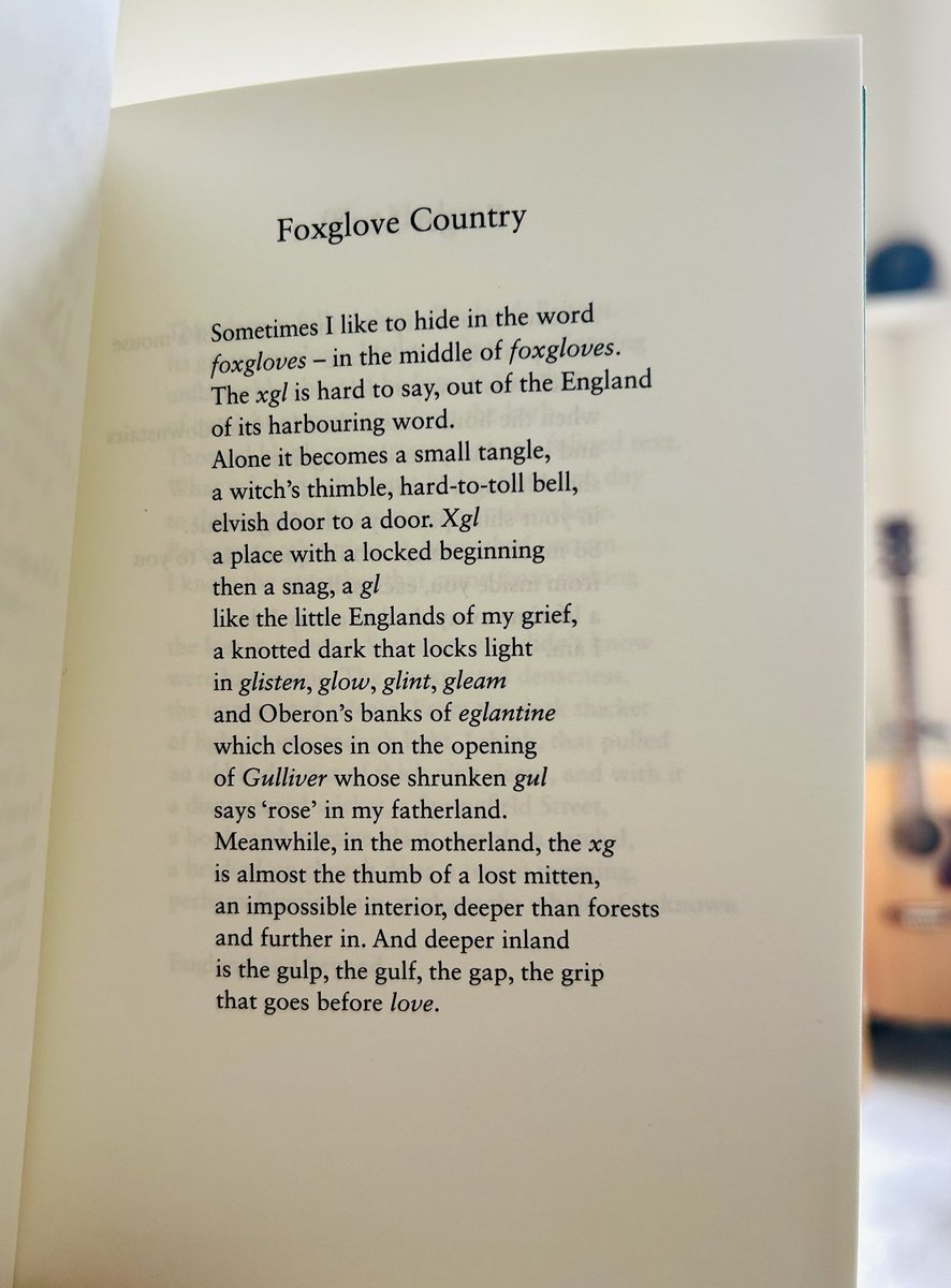‘Foxglove Country’ by @ZaffarKunial is literally a perfect poem. I gasped at the close. Sounds, syntax, language, form, references, the little Englands of grief. This poem has truly unmoored me and I don’t know when I will recover.
