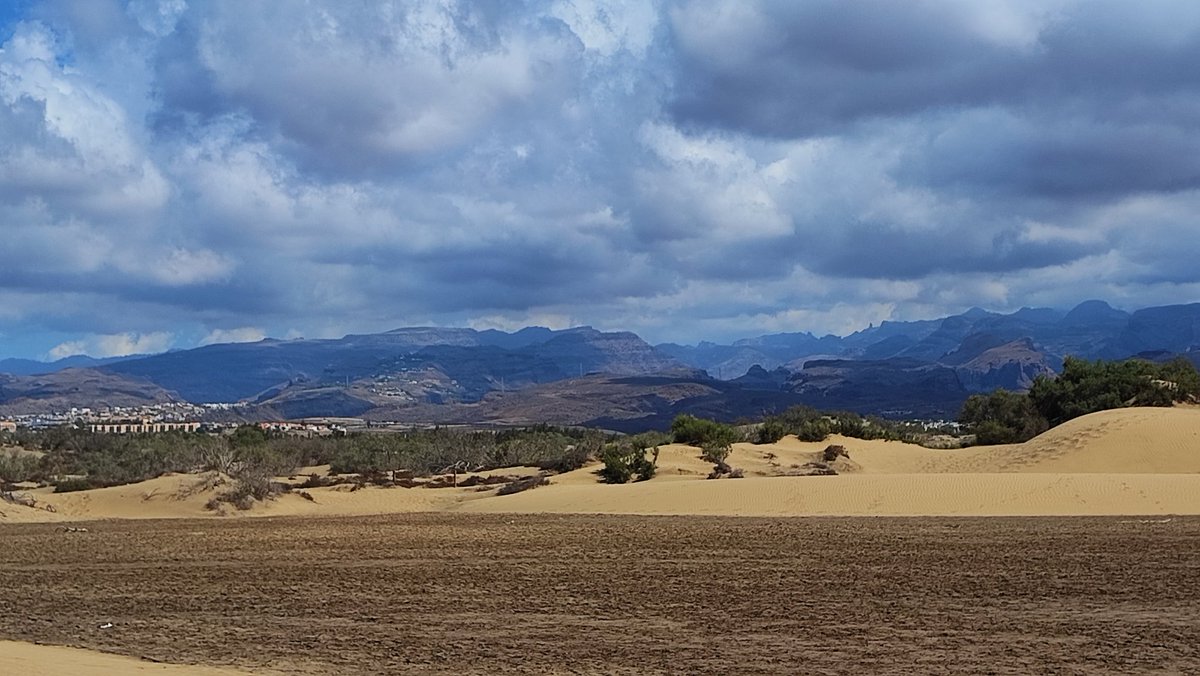 Ich möchte dich nicht vermissen, ich möchte dort sein❤️ 
Und ich weiß: andere können es aus gesundheitlichen Gründen auch nicht und das macht mich sehr traurig. Wir vermissen dich alle. 🥰