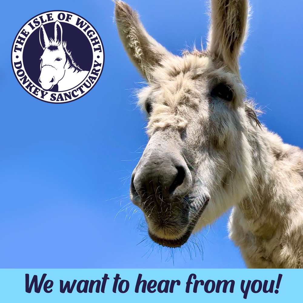 We want to know what sort of things you would all love to see
We know everybody would love to see more of their adopted donkeys, and we will do our best to feature more, but is there anything else you'd love to know, for us to talk about, or that you'd like to see?
Let us know!