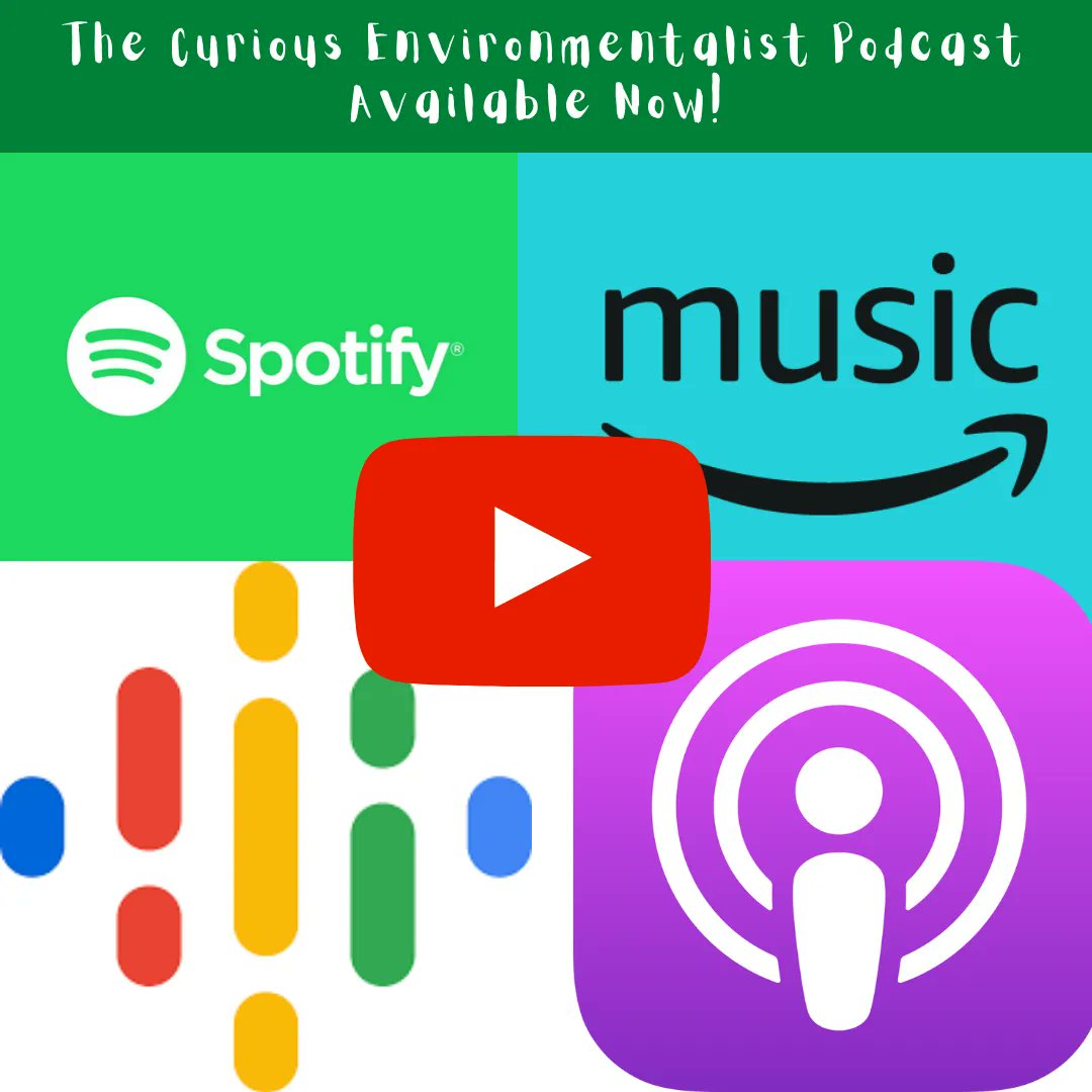 curiousenviron's tweet photo. Did you Know? 
You can listen to my #podcast on a number of different platforms! 🎧 
If you can't find it on your preferred platform, let me know 💛 
Also, if you could share it with just one person, you would make a nerd very happy 🤓 
Check it out now! 
https://t.co/vrE32FSjLM https://t.co/FPQZaxmB0K