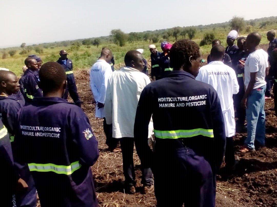paceiuganda's tweet photo. Farming activities https://t.co/pjPE0sXJ34