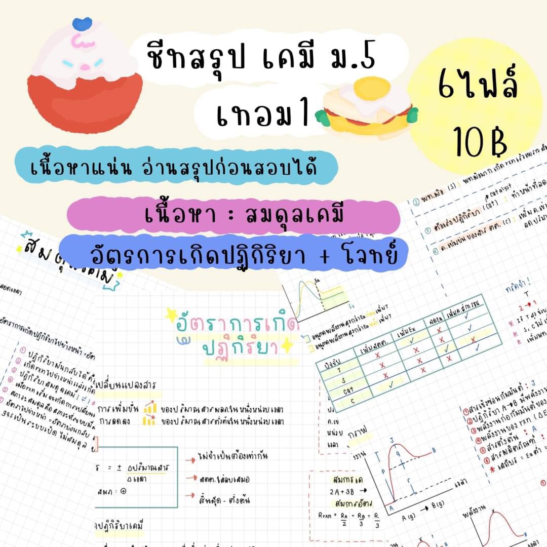 ppleng🎶 รับทำการบ้าน ขายชีทสรุป ฟอนต์ลายมือ tweet media