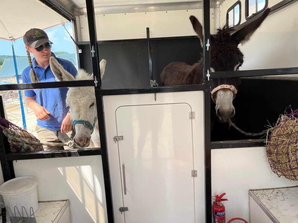 Some new faces have been getting some training to join the community and outreach team.
Some of the latest trainees include Bear, Womble, Luckie, and Kitchi
#donkey #isleofwight #charity #iowdonkeysanctuary #community