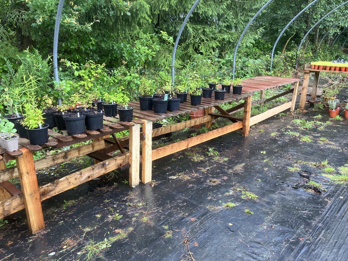 TheKingsCareers's tweet photo. Another shout out for our @KingsSchoolOSM  #6thFormers.  This time those at @InfocusWestHill Outdoor Learning Centre, who designed and built sheds for the forest school &amp; plant benches for the poly tunnels.  Super feedback from Patrick &amp; the results speak for themselves. https://t.co/9Rgpnsn4Jl