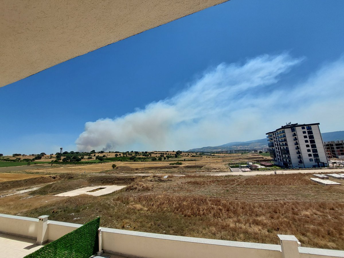 Sabah sönmüş gibi görünüyodu, yeniden başladı sanırım :( #çanakkale #yangın