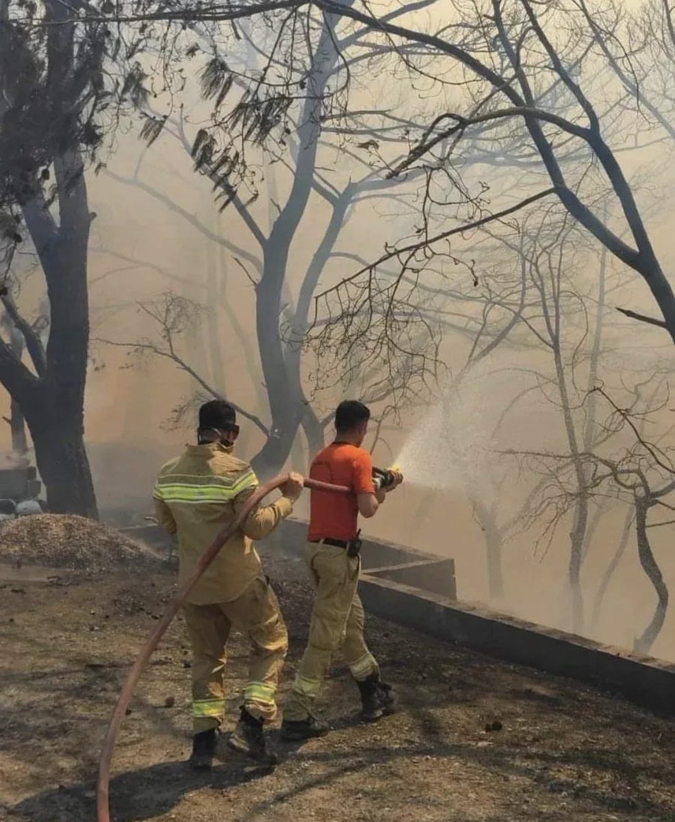 Yanarak kül olan evler, tahliye edilen vatandaşlar, yok olan oksijen alanları, ölen canlılar… 
Ormanlarımızla birlikte yüreğimizde yanıyor. 
En soğukta depremle yıkıldık yaralandık,
En sıcakta yangınla ciğerlerimiz yanıyor.

#HatayÖzelAfetBölgesiİlanEdilsin 
#hatayyanıyor