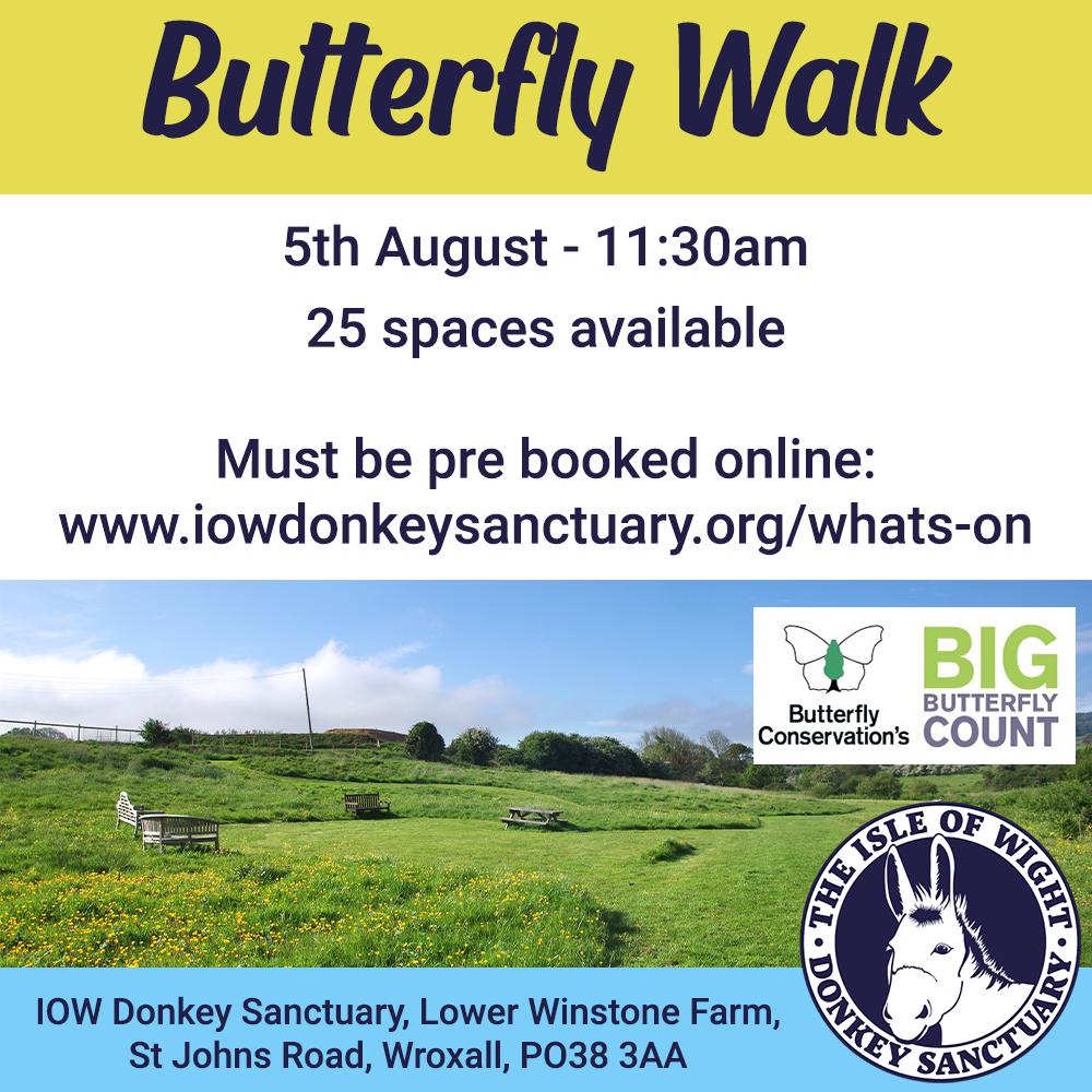 Next Saturday is our Butterfly Walk event!
This is an opportunity to learn new identification techniques and an in-depth knowledge of local butterfly species.
There are 25 spaces and cost £10 per person.
Must be booked in advance on our website: iowdonkeysanctuary.org/whats-on#book-…