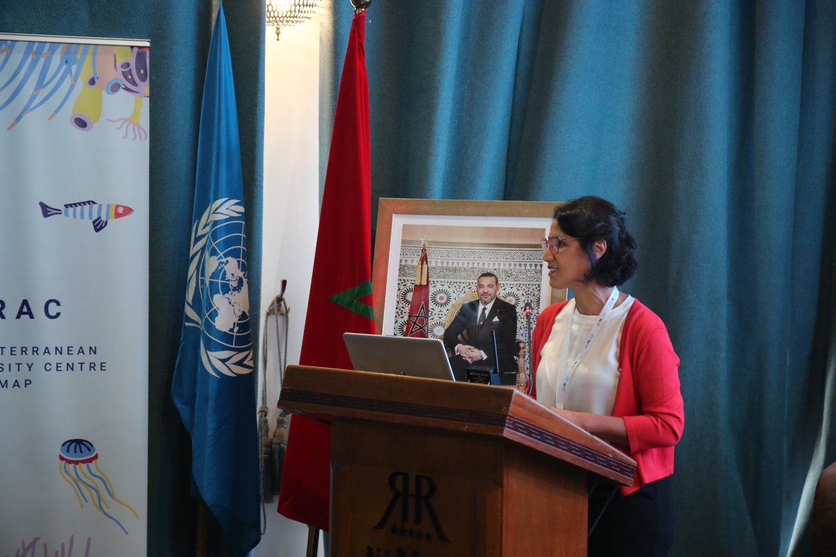 MTEDDMAROC's tweet photo. احتضنت طنجة من 11 إلى 13 يوليوز 2023 الورشة الاختتامية للمشروع المندمج للرصد والتقييم بالمناطق البحريّة المحميّة في البحر الأبيض المتوسّط، وذلك بحضور ممثلي الدول المستفيدة من المشروع وممثلي عمل البحر الأبيض المتوسط لاتفاقية برشلونة #unepmap https://t.co/OhjgY2m0AN