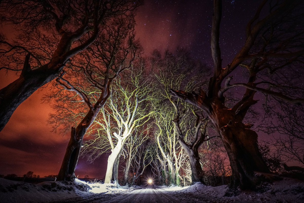 @SiKImagery The dark hedges, Northern Ireland. This place has been photographed by everyone and their granny. I wanted to try something different. Light paint with my mate driving my car at me laid in the road in the snow. #darkhedges