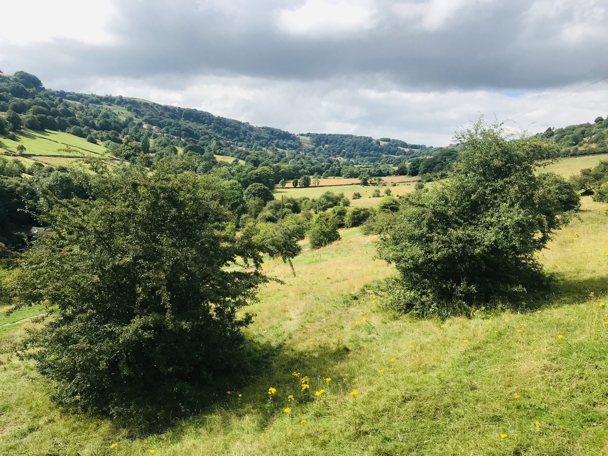 Heavy rain today in Shibden but the sun is finally out. Grateful that the UK seems to miss the extreme temps on the whole. Feel for those suffering extreme heat in Europe and in the US at the moment #climateemergency #globalwarming #weather