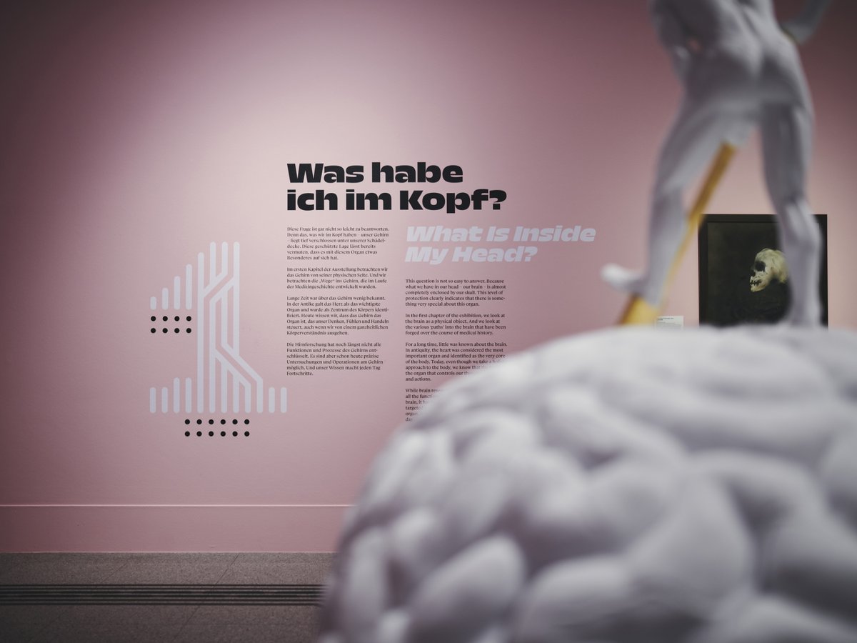 bundeskunsthall's tweet image. Unsere #Ausstellung „Das #Gehirn. In Kunst &amp;amp; Wissenschaft“ hat den #IFDesign Award für Innenarchitektur gewonnen. 👉 bit.ly/3Q1ggBw Herzlichen Glückwunsch und ein Dankeschön an die Architekten von SPACE4! Habt ihr die Ausstellung besucht? Was hat euch besonders gefallen?