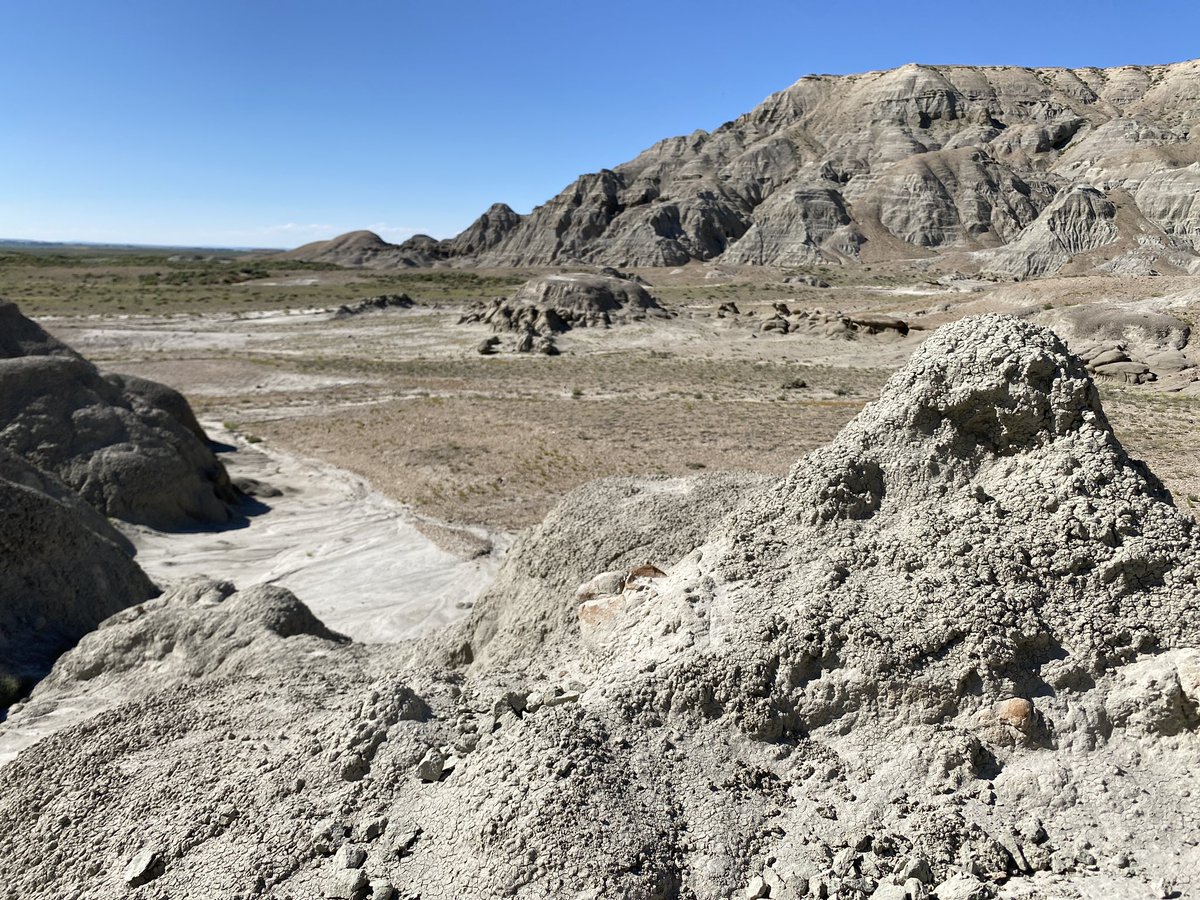 Matthew Borths tweet media