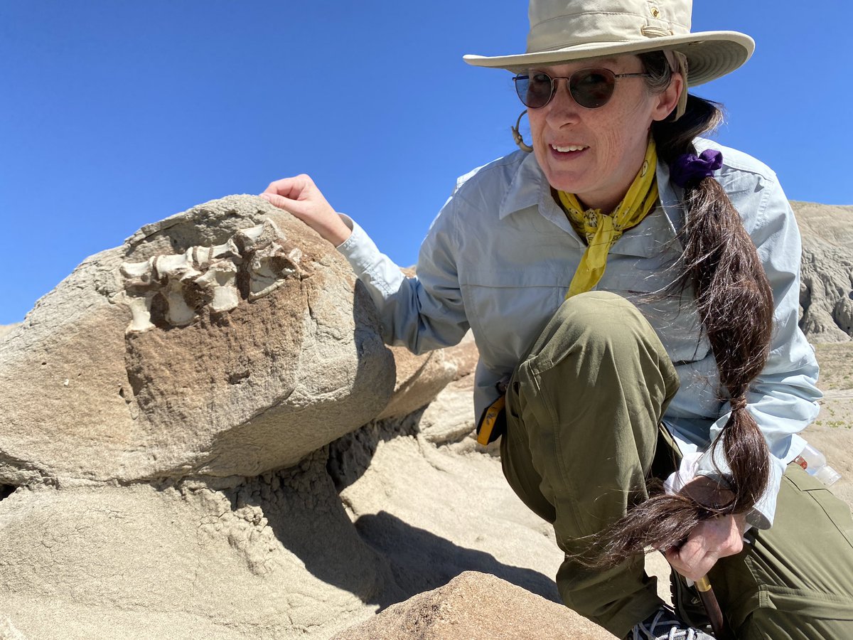 Matthew Borths tweet media