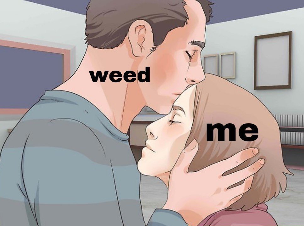 WeedPorns's tweet photo. Monday mood https://t.co/Udba9Q2j9A