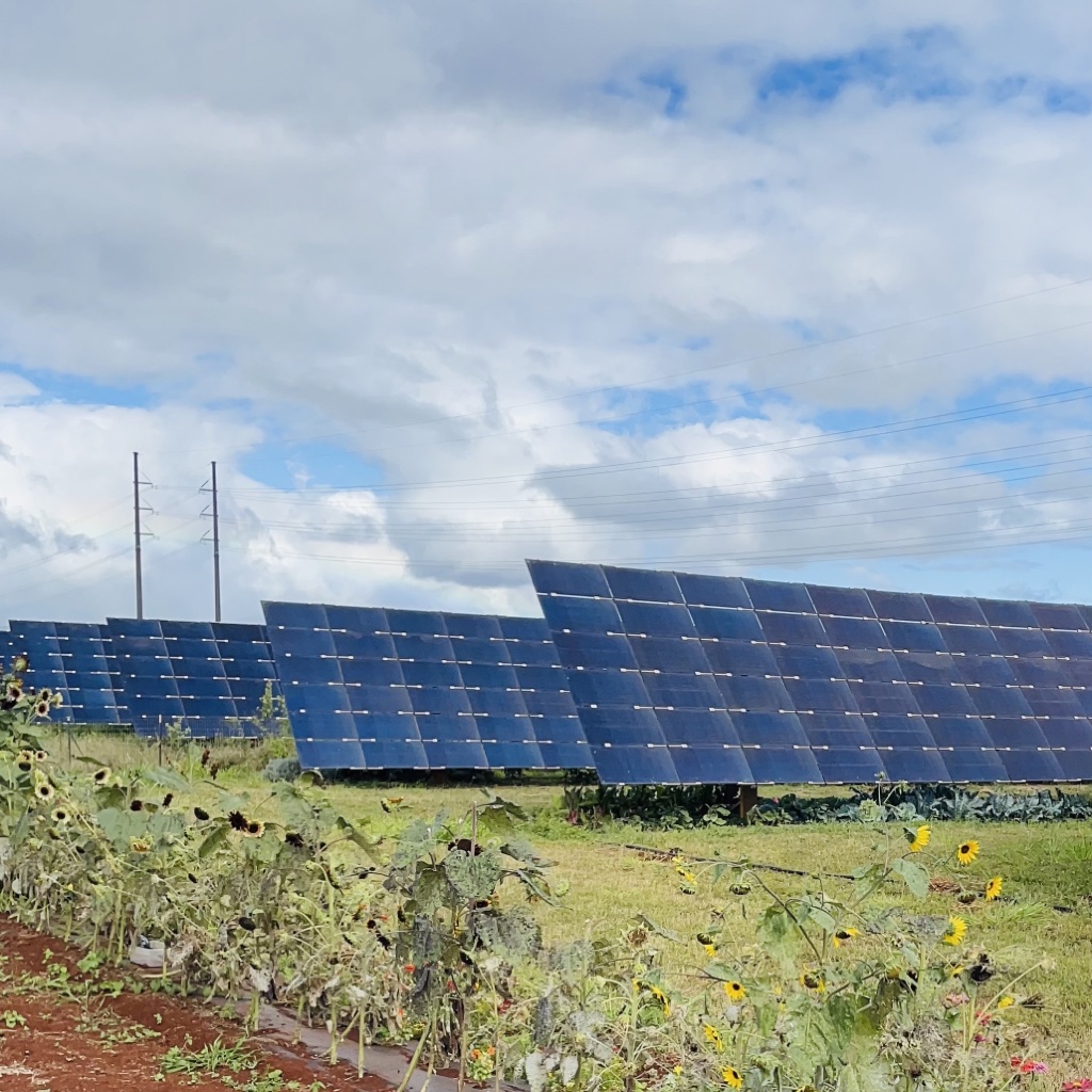 EPA's Solar for All funding will expand the number of low-income and disadvantaged communities primed for residential solar investment, enabling millions of low-income households to access affordable, resilient, and clean solar energy.