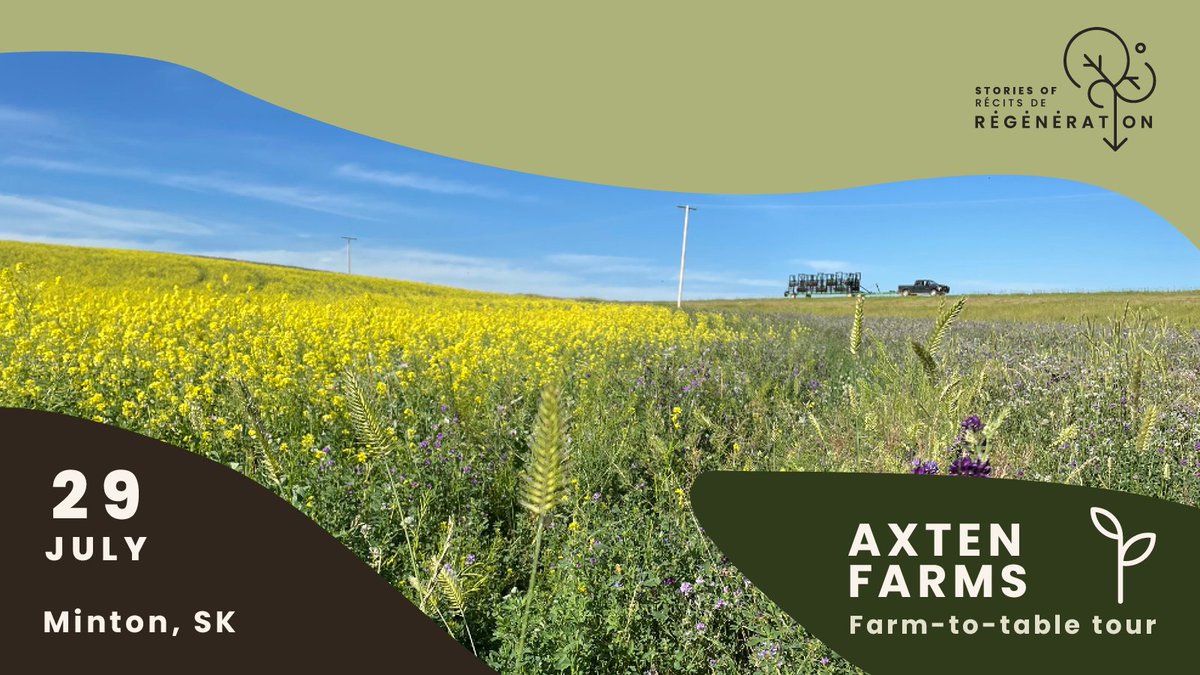 regenerationcan's tweet image. Will you join us on July 29 for a unique farm-to-table event at @AxtenFarmsLtd? 🫛

Axten Farms is a multi-generational family farm located in the beautiful rolling hills of Southern Saskatchewan, owned and operated by Tannis and Derek Axten.

👉 bit.ly/SK-StoriesOfRe…