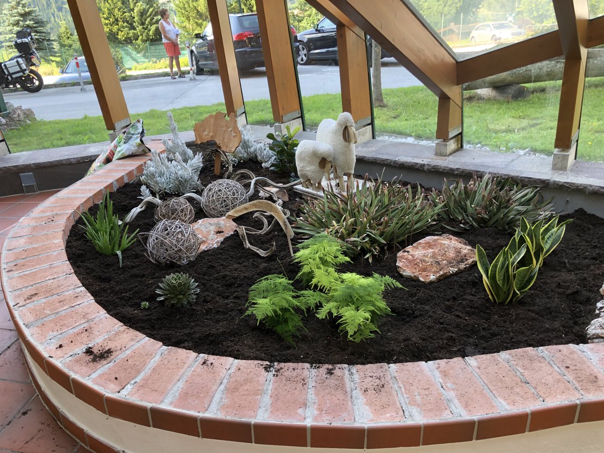 IulianaGal1's tweet image. #gardening #indoorplants #AlpineClub #Teamwork #Goinggreen #Sustainability #Danke