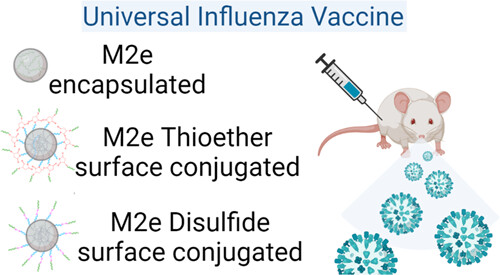 📢 New Editor's Choice 🏅 article out today in Bioconjugate Chemistry!

Humoral Response to the Acetalated Dextran M2e Vaccine is Enhanced by Antigen Surface Conjugation

👏 Congrats to the <a href="/AinslieLab/">Kristy Ainslie</a> team at <a href="/DPMP_UNC/">Pharmacoengineering & Mol Pharmaceutics (DPMP UNC)</a> <a href="/UNCPharmacy/">UNC Pharmacy</a>

Read for free ➡ go.acs.org/5xy