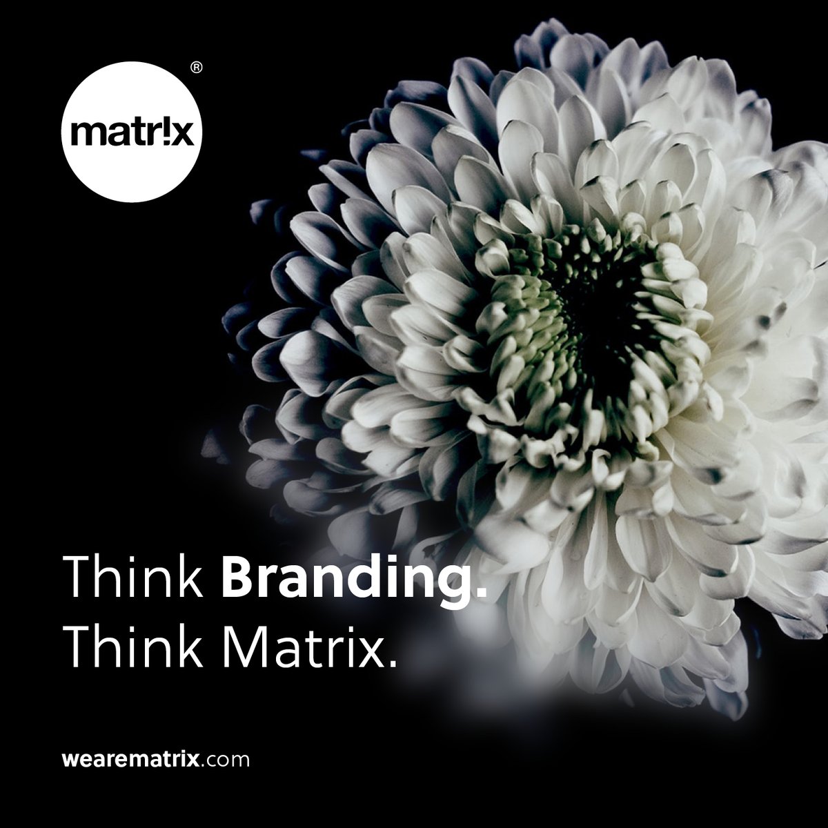 Bringing brilliance to your brand

From crafting the perfect logo to guiding your communications, we can help shape your brand and fulfil its potential.

Give us a call on 📞 01752 250029, or visit ow.ly/jajA50P3pny

#branding #brandingdesign #brandingagency #brandidentity