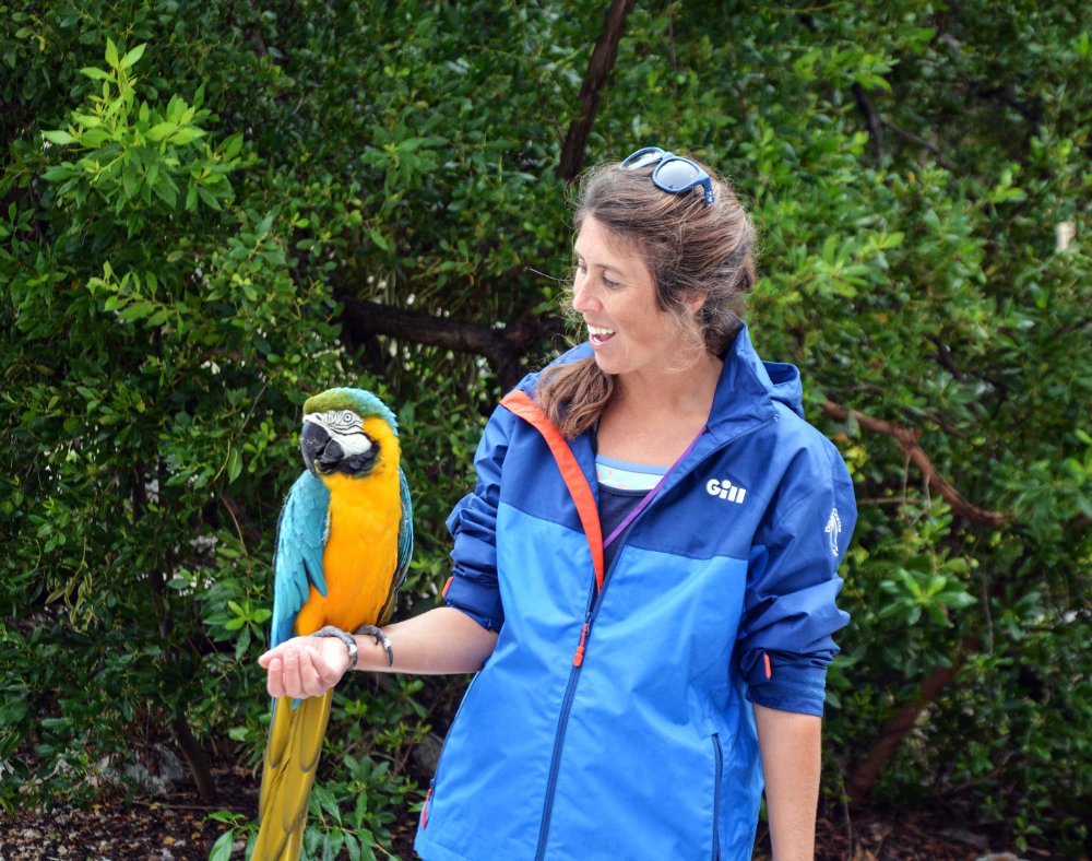 DolphinResearch's tweet photo. Happy National Zookeeper week to all our dedicated animal trainers!
#dolphinresearchcenter #NationalZookeeperWeek #dolphintrainer #welovedolphinseveryday #animaltrainer https://t.co/8PNnT4yC5I