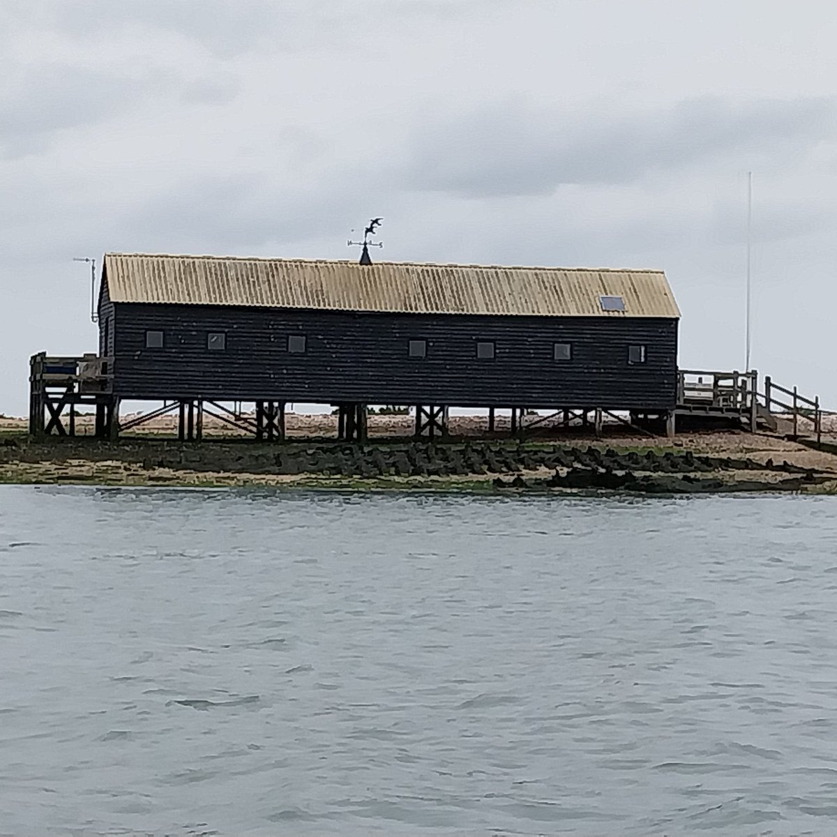 Off the coast of Mersea Island, there is a long black timber shed hovering above the waterline. Find out more about this local landmark on the latest episode of Essex By The Sea Podcast. Available now on your favourite podcast app. podfollow.com/essexbythesea