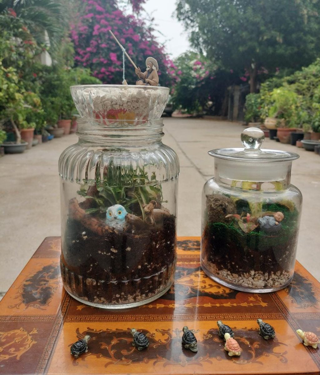 RashnaGazder's tweet photo. Just witnessed my son's incredible talent come to life as he crafted stunning terrariums ( A glass Garden/ecosystem)
The attention to detail & creativity he displayed is absolutely mind-blowing!
Proud parent moment! 🌟 #ProudParent #doctorsrelax #TerrariumMagic #NatureArt" https://t.co/owfkfeYaWQ
