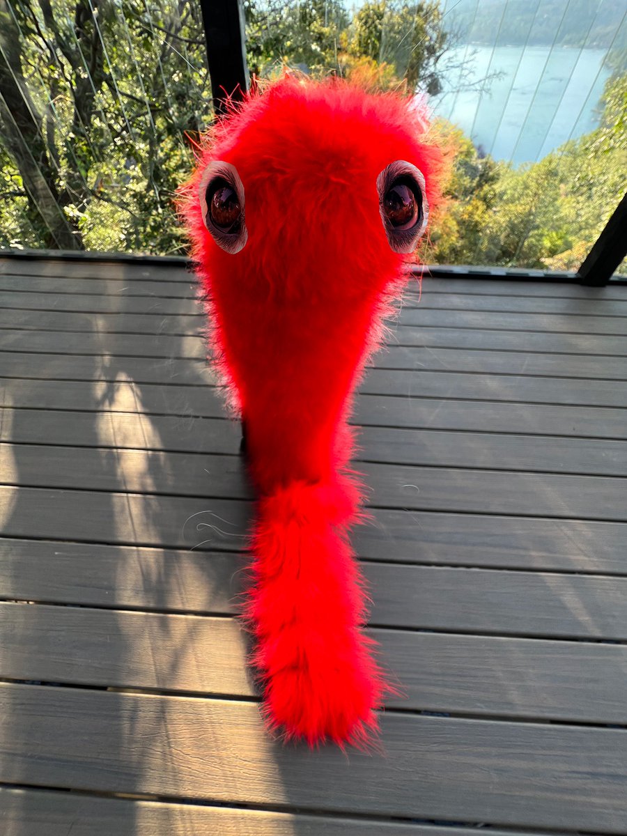 Esper Borzoi On Twitter I Submit My Redesign Of elmo For Approval esper-borzoi-on-twitter-i-submit-my-redesign-of-elmo-for-approval