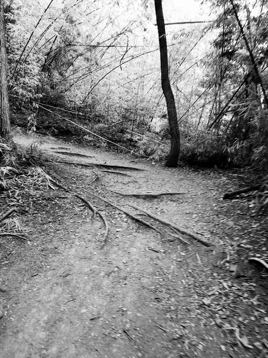 cmpena1's tweet photo. Got out the door early & knocked out a few miles on the trail. #morningmiles #morningrun #ragnartraining https://t.co/yT3kvBi4Lc