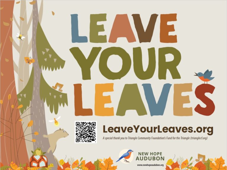 Southern Village HOA Board is moving toward the use of electric leaf blowers &amp; we want local NHAS HOAs to do the same! Want to help us spread the word in time for Autumn? Send an email with the SL: Leaf Blowers to newhopeaudubon@gmail.com. Why it matters: bit.ly/3rtX19w