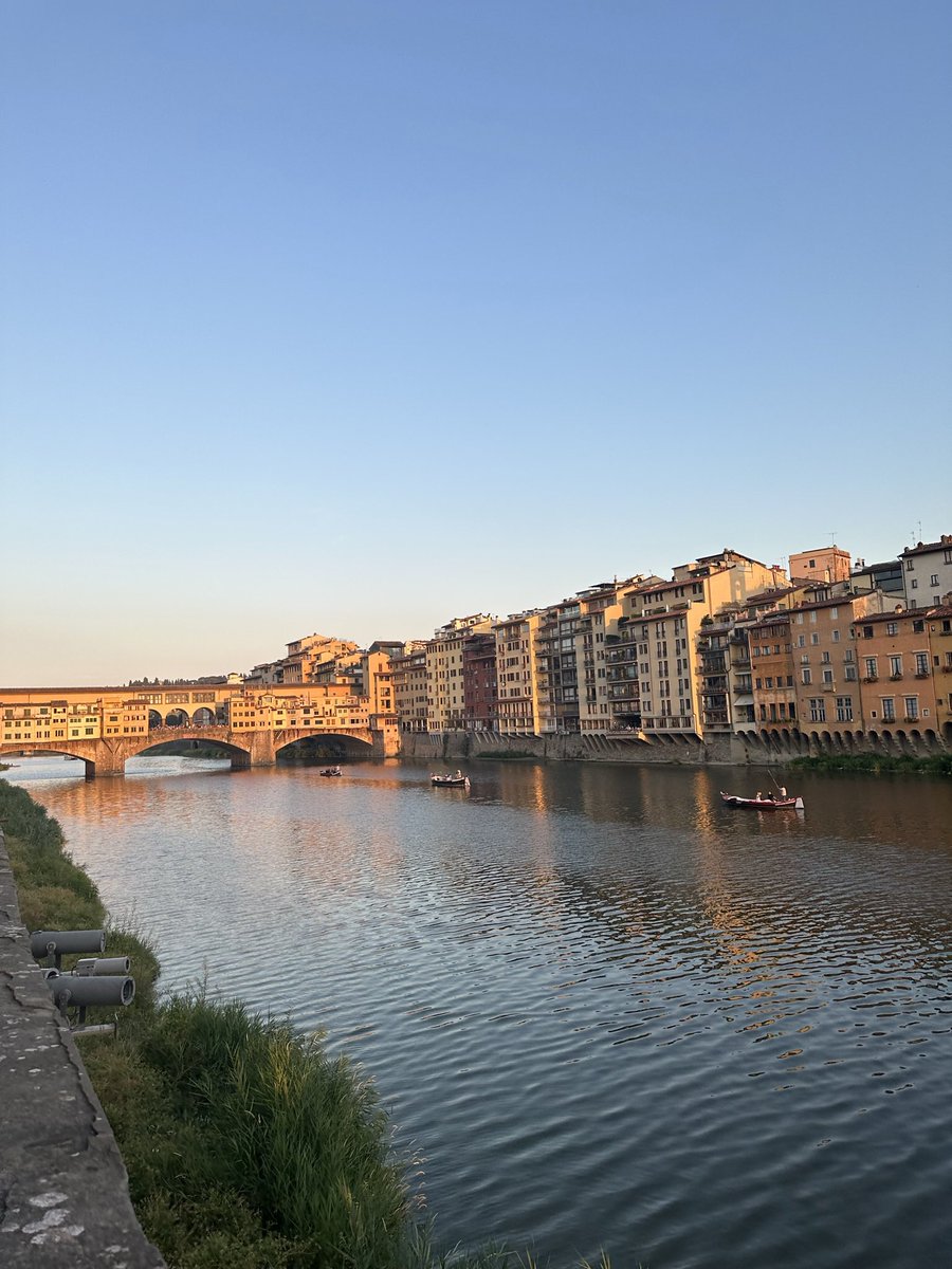 Asal Ehsanipour 🍯 tweet media