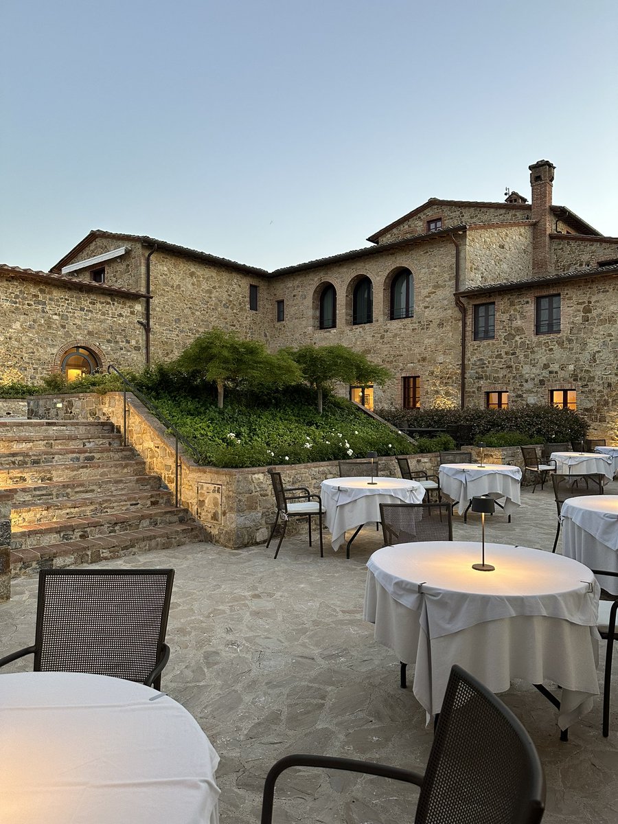 Asal Ehsanipour 🍯 tweet media