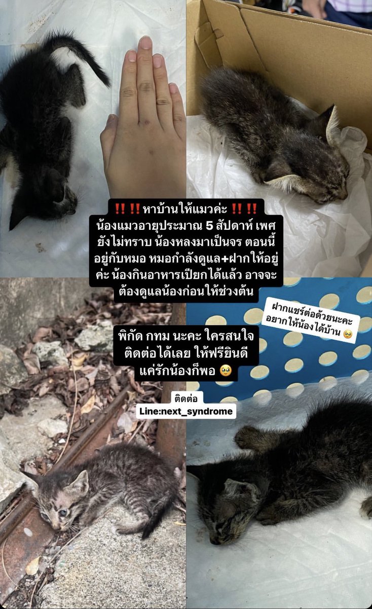 𝗽𝗶𝗰𝗵𝘃𝗲 tweet media