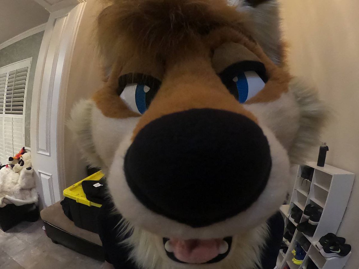 🦊Arthur🦊🔜FWA tweet media