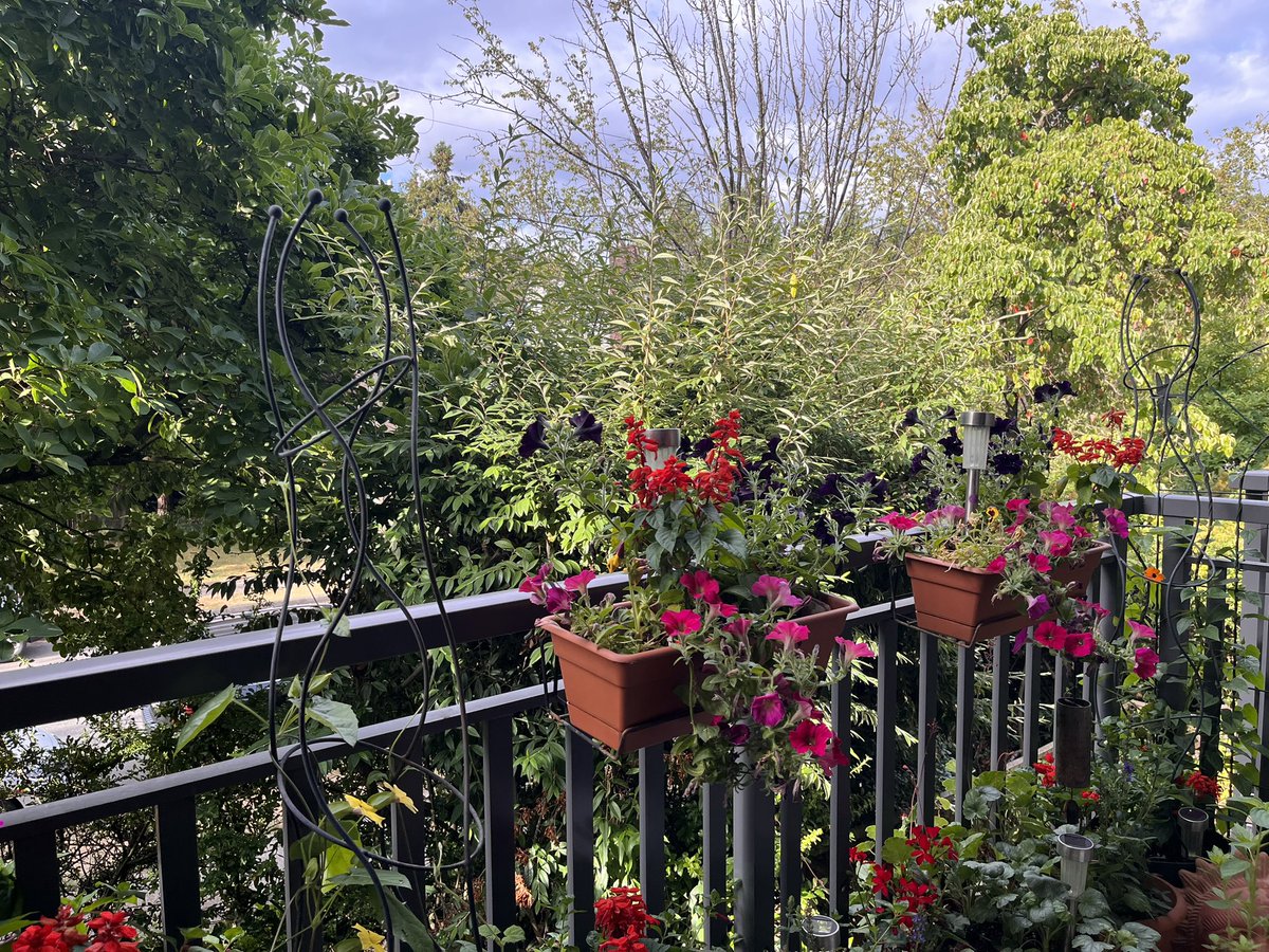 . @CBCStephenQuinn sunny in kits, but some petrichor, so I may have missed a few drops of rain.