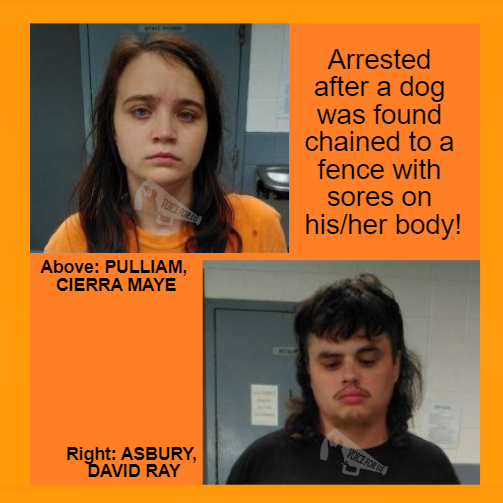 VoiceForUs_'s tweet photo. - Arkansas, USA -
CIERRA MAYE PULLIAM and DAVID RAY ASBURY arrested - Dog found malnourished chained to a fence
https://t.co/4CTJUvPnm8
#VoiceForUs #animalcruelty #crueldadanimal #sebastiancounty #arkansas #fortsmith #dogs #animalslivesmatter #deathpenaltyforanimalabusers https://t.co/aNJxIwyxTu