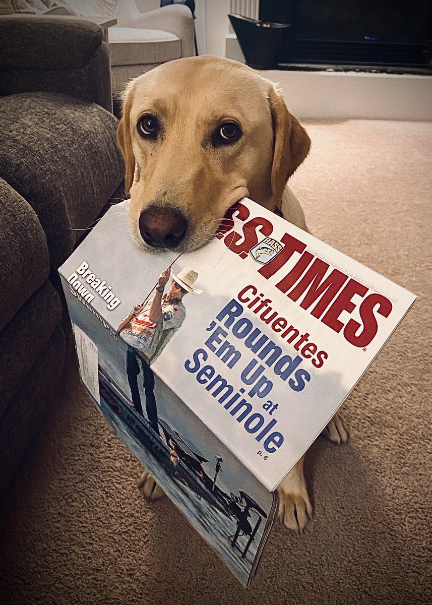 bassmaster's tweet photo. Remi is here to remind you to start your week off strong by reading B.A.S.S. Times!
🐾🎣
#Bassmaster #MondayMotivation #BASSTimes https://t.co/eNOpJ3GAlf