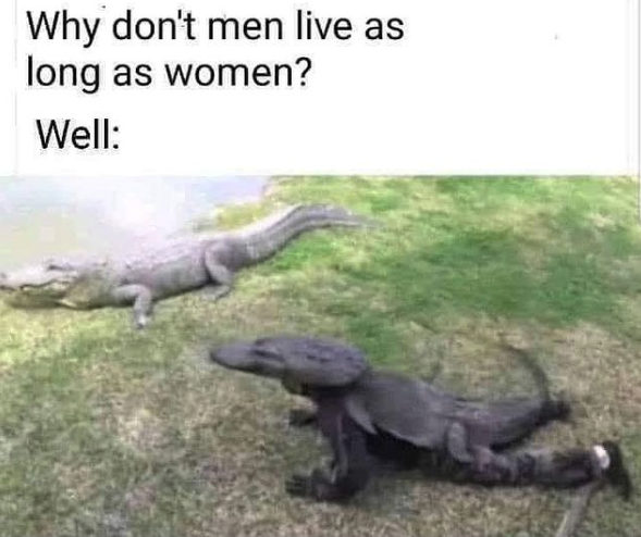 Florida Travel + Life (@fltravelandlife) on Twitter photo 