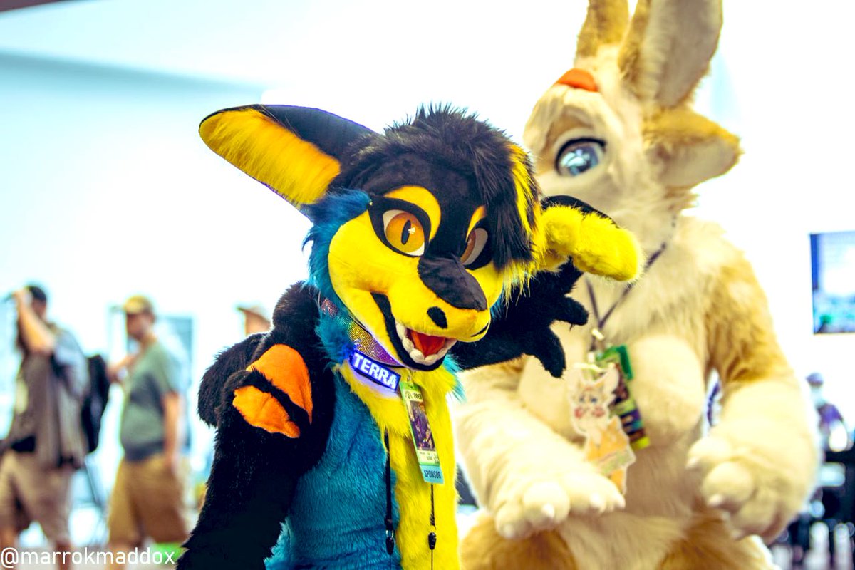 splat-fennec-denfur-mff-on-twitter-shark-week-shark-week-bites