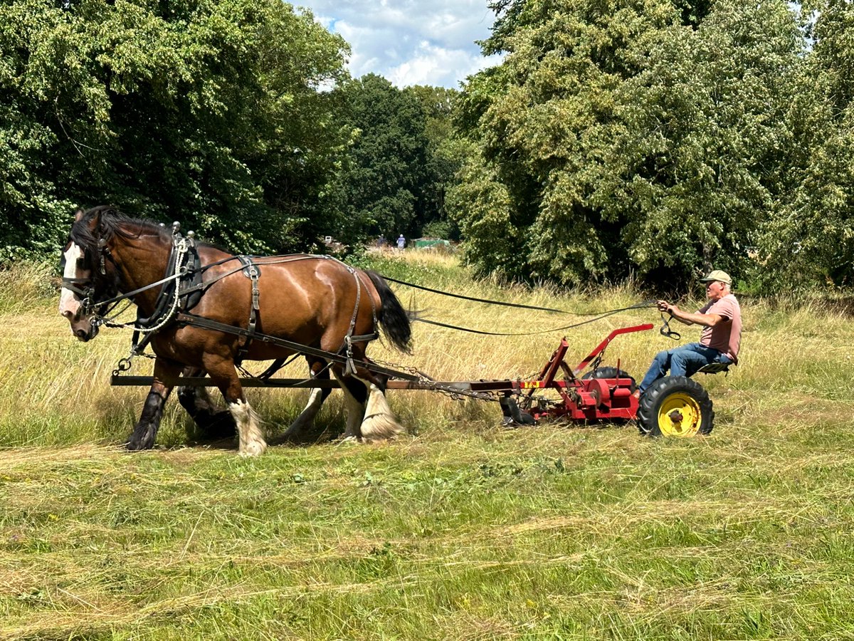 Emma Durnford 💙🇺🇦 #FBPE tweet media