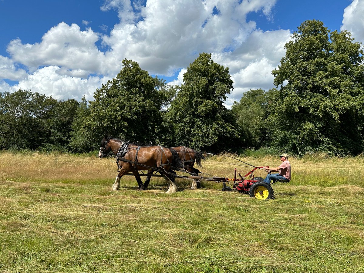 Emma Durnford 💙🇺🇦 #FBPE tweet media