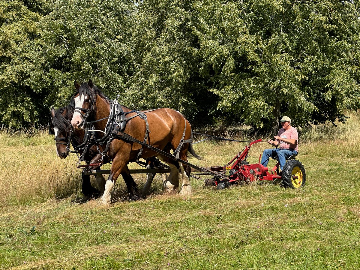 Emma Durnford 💙🇺🇦 #FBPE tweet media