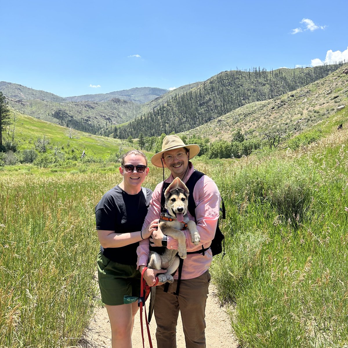 owhitener's tweet photo. Puppy’s first hike. 😍

(“Hike” is a relative term in this sense…we did not go far or fast. 😅) https://t.co/FbUinbzbLO