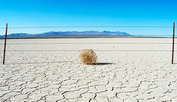 samrhansum's tweet photo. My Twitter Feed right now..... Logging in first time in months....... 😏 https://t.co/NJUwqX66Fy