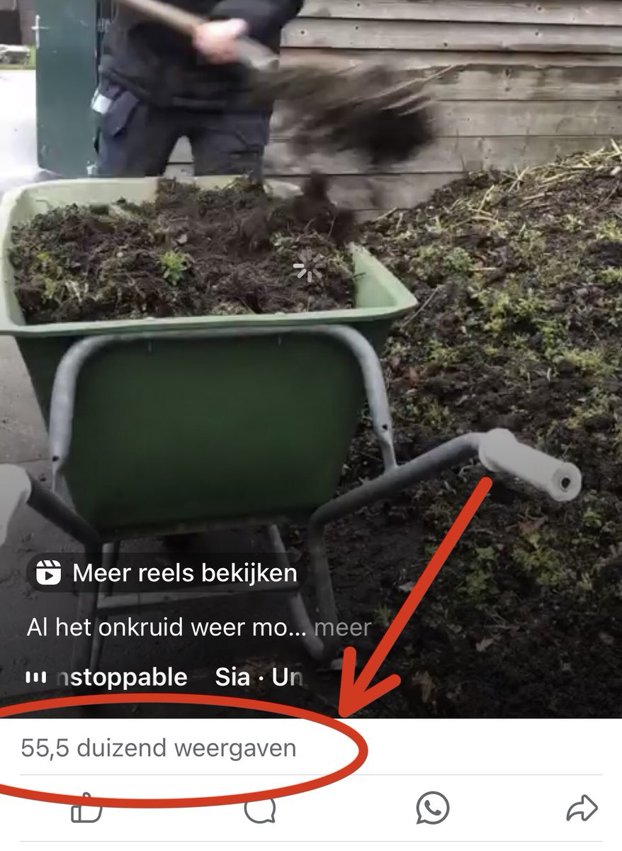 Daan tweet media