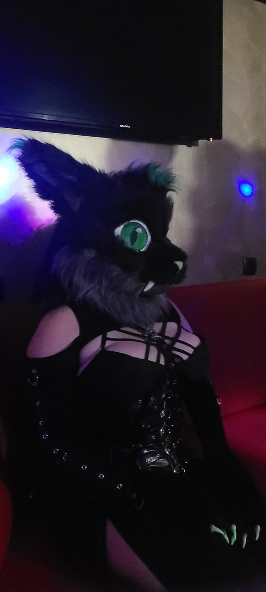 demon_SaberLynx's tweet photo. Sad #DutchFurCon has ended but very happy to have met so many of you and got to finally participate in suit things 🥰
Please always feel free to say hi 👋
#fursuit #dutchfurcon8
📸 @Crash_TheWolf
📍@dutchfurcon https://t.co/RvjWCd8y4G