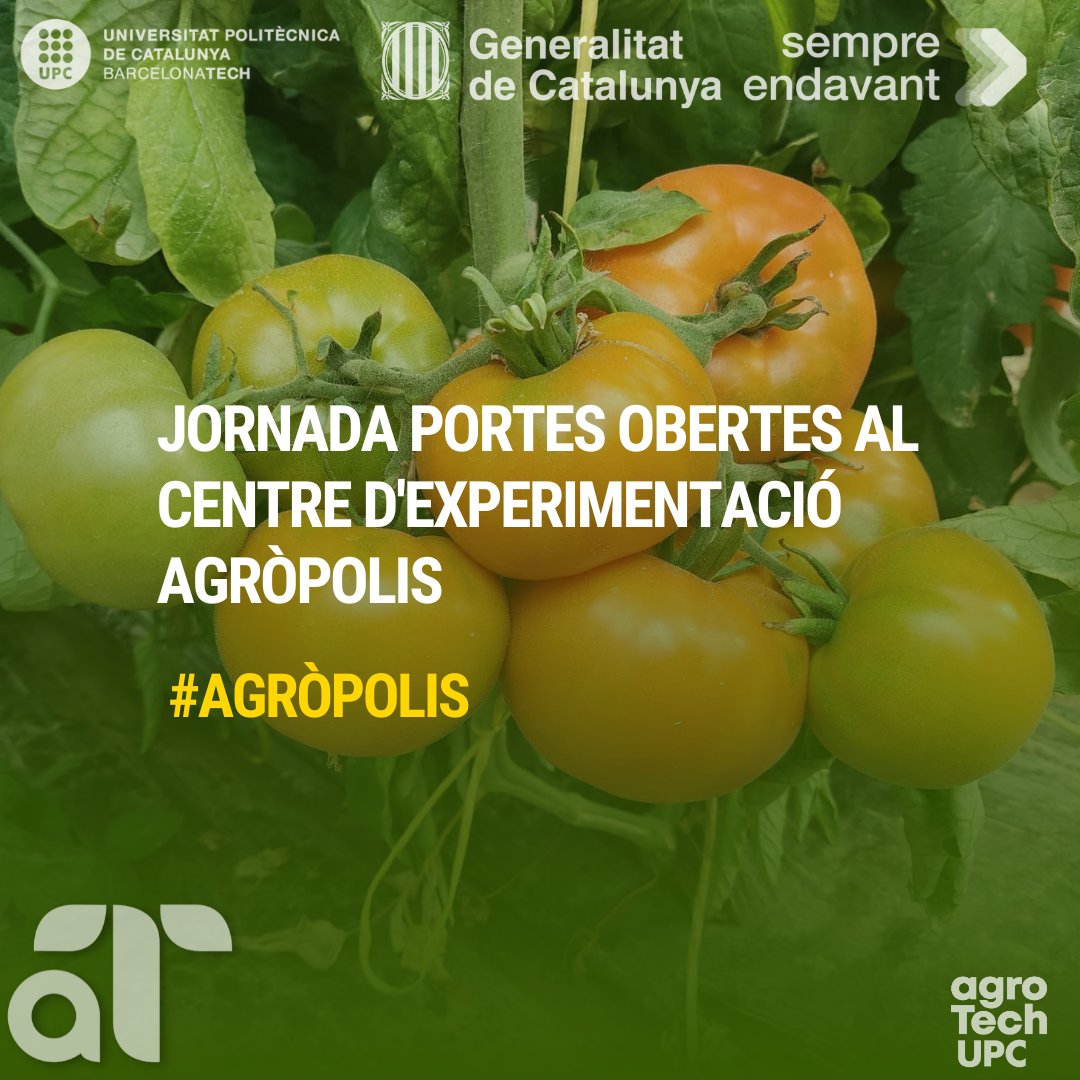 MOSTRANT EL QUE FEM A L'AGRÒPOLIS.

Els sistemes de producció hortícola estan en constant canvi.

A l’estació experimental #Agròpolis, treballem per generar coneixement i eines per la producció hortícola que siguin útils per al sector. #AgrotechUPC

agrotech.upc.edu/ca/esdevenimen…