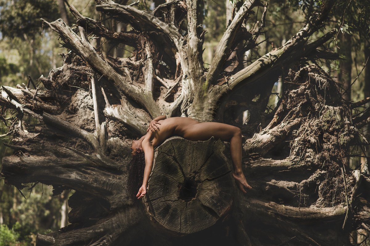 Nat_Desnuda's tweet photo. Esta creo que es la fotografía que represente el proyecto, buscar la armonía de un cuerpo natural en perfecto contacto con la naturaleza, es por eso que es una de mis preferidas de Naturaleza Desnuda y es la tapa del libro que espero poder hacer pronto. https://t.co/t4fUd2r0iL